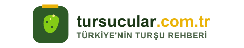 tursucular.com.tr — Türkiye'nin Turşu Rehberi